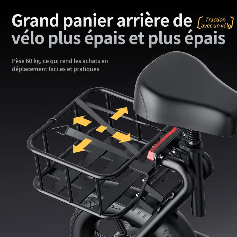 Trottinette Électrique SelleRide 500w